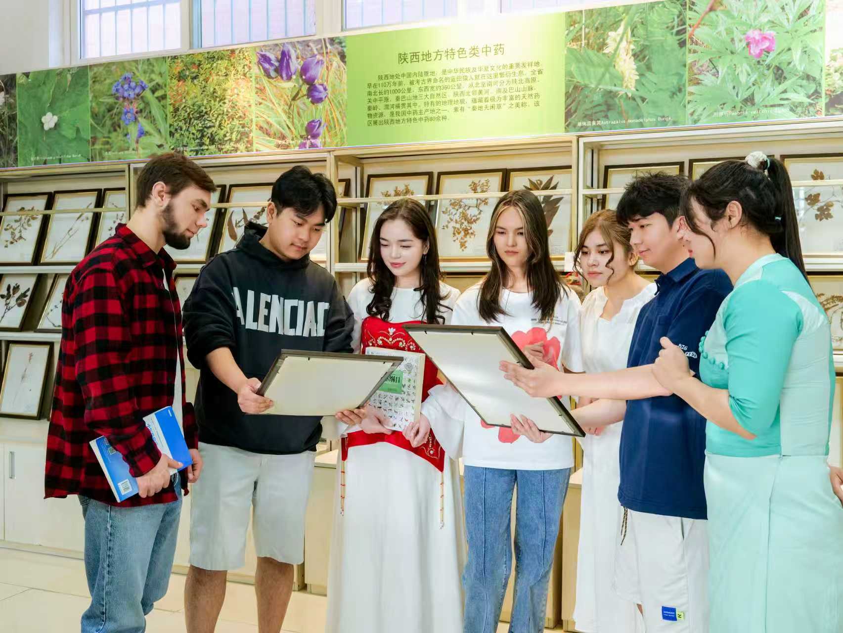 International Cultural Exchange Festival & Activities