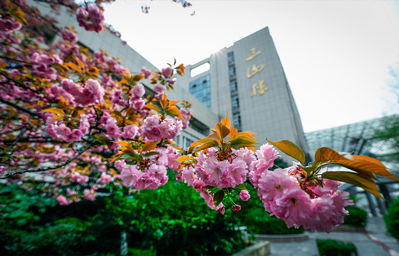 Medical Campus Landmarks & Academic Square