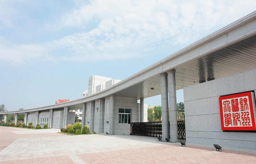 International Cultural Exchange Festival & Activities