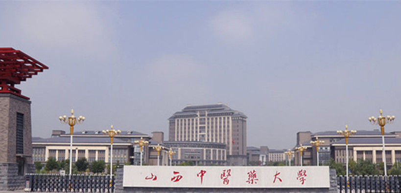 International Cultural Exchange Festival & Activities