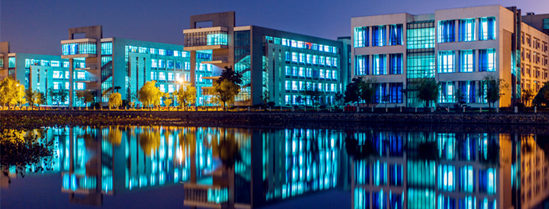 International Cultural Exchange Festival & Activities