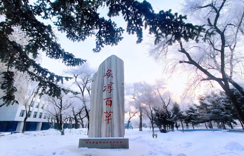 Medical Campus Landmarks & Academic Square