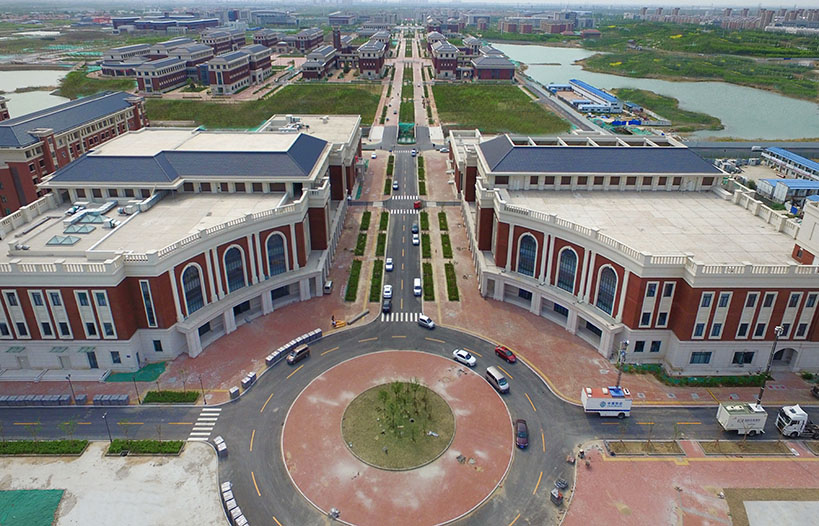 International Cultural Exchange Festival & Activities