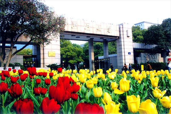 Affordable medical universities in China
