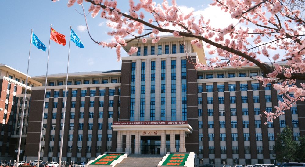 International Cultural Exchange Festival & Activities