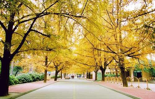 Medical Campus Landmarks & Academic Square