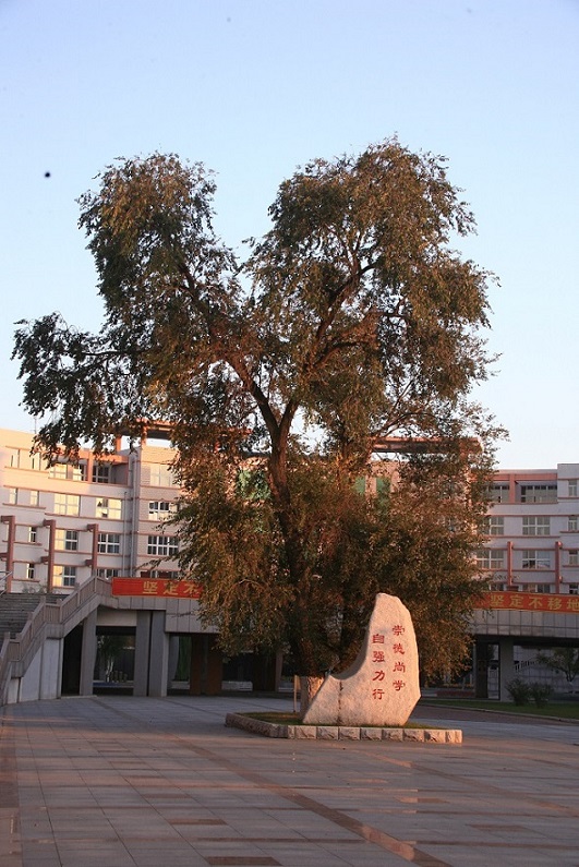 Medical Campus Landmarks & Academic Square