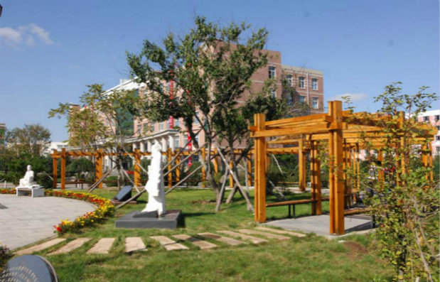 International Cultural Exchange Festival & Activities