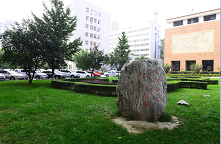 International Cultural Exchange Festival & Activities